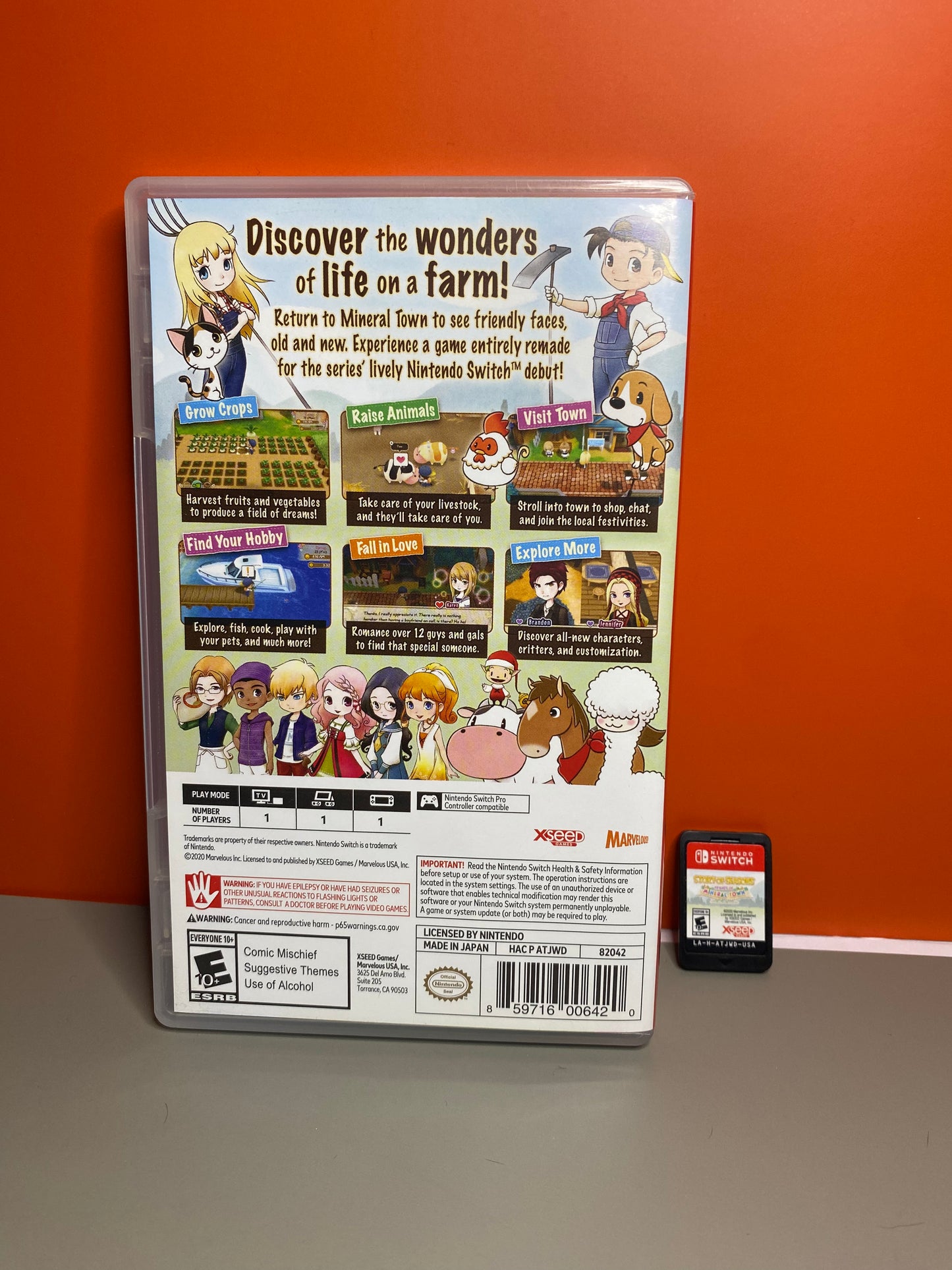Story of Seasons: Friends of Mineral Town
