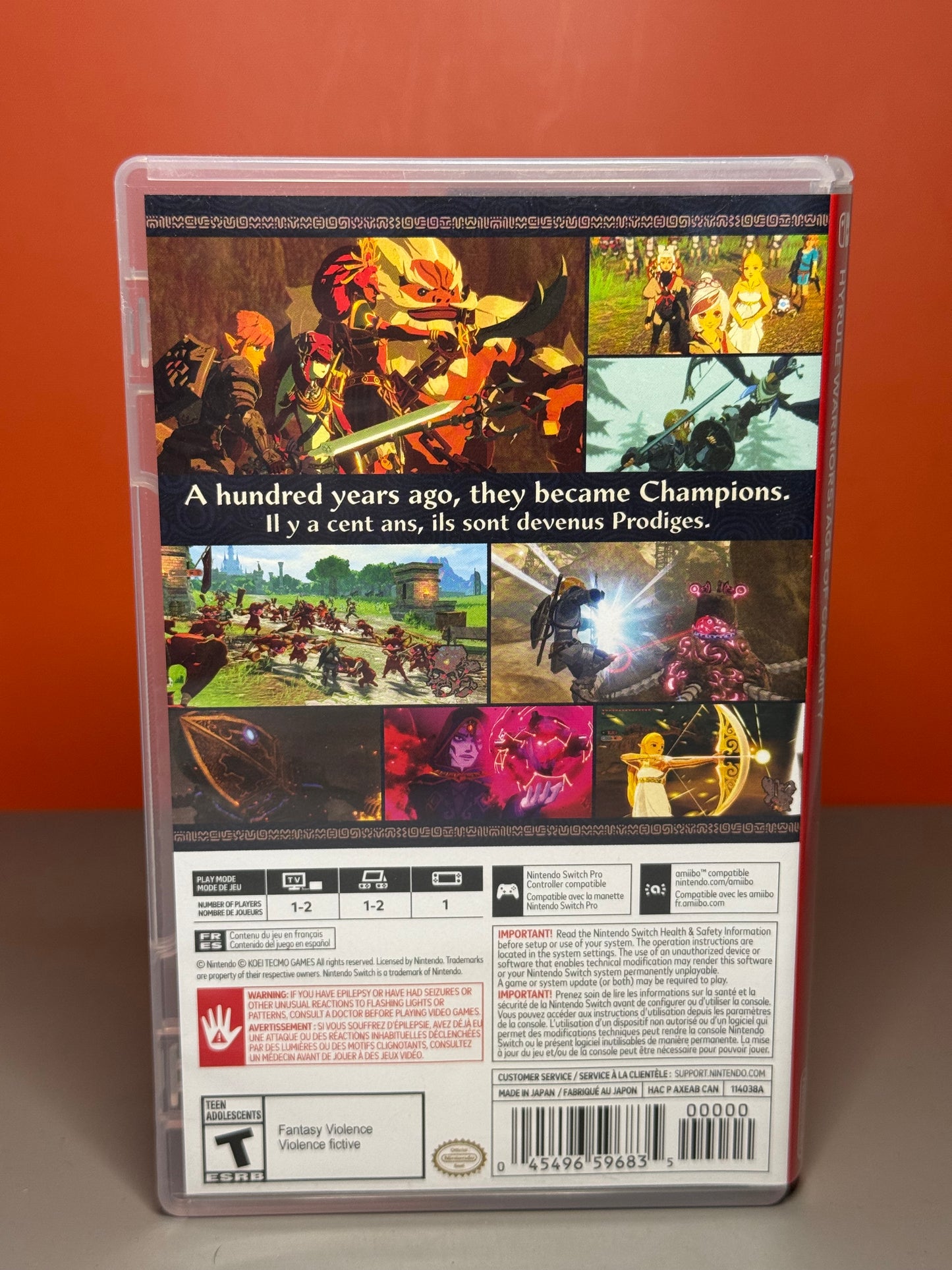 Hyrule Warriors: Age of Calamity