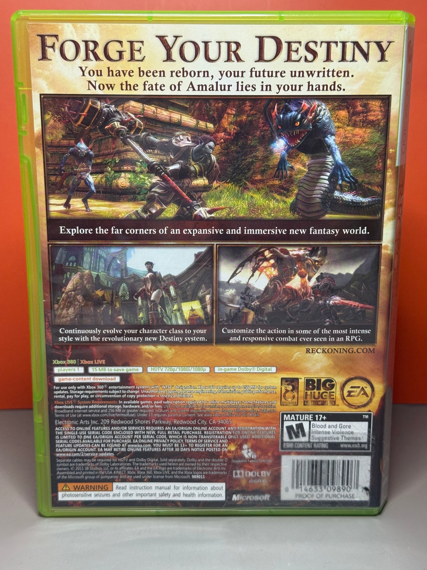 Kingdoms of Amalur: Reckoning