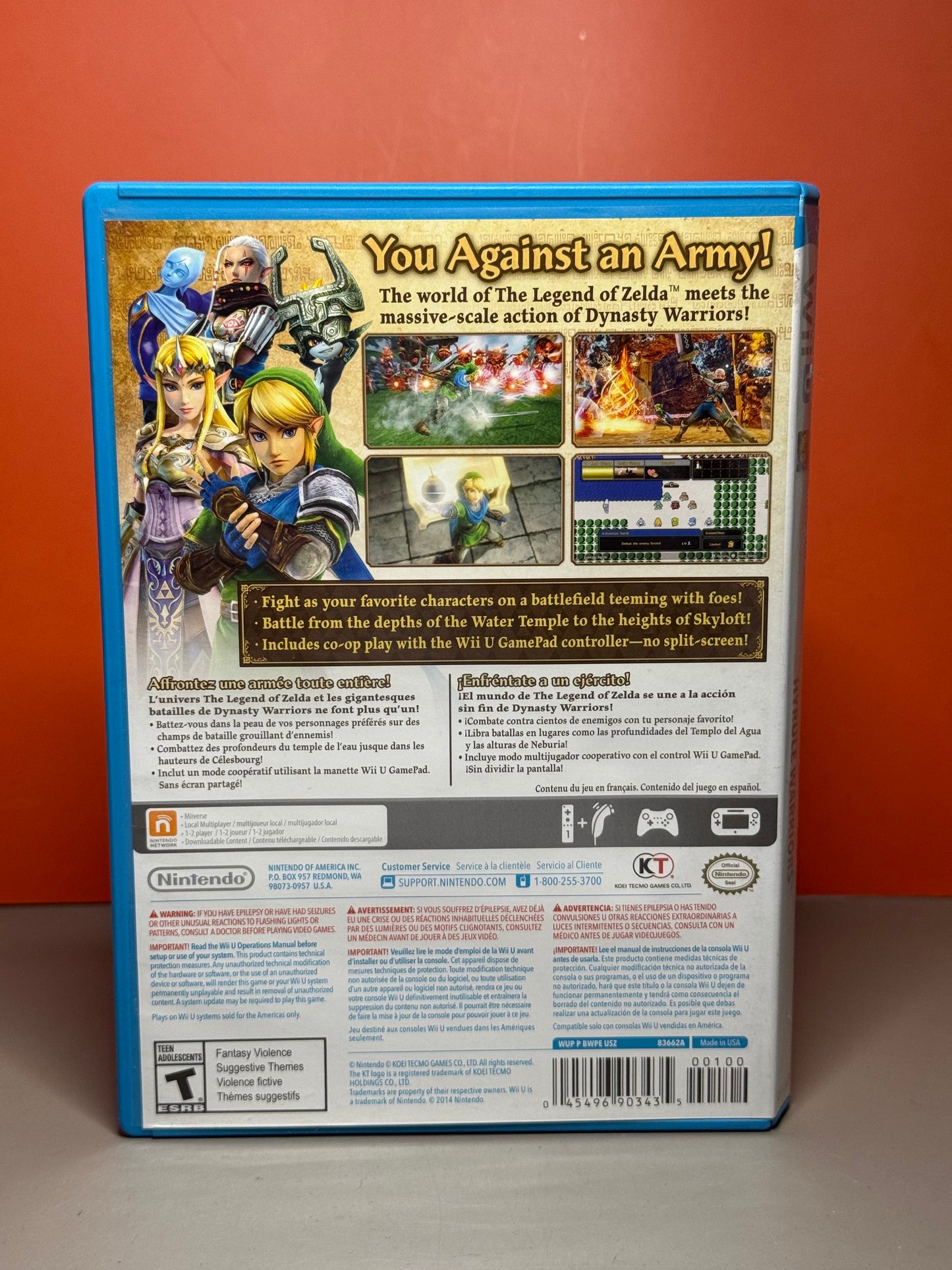 Hyrule Warriors