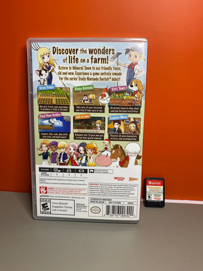 Story of Seasons: Friends of Mineral Town
