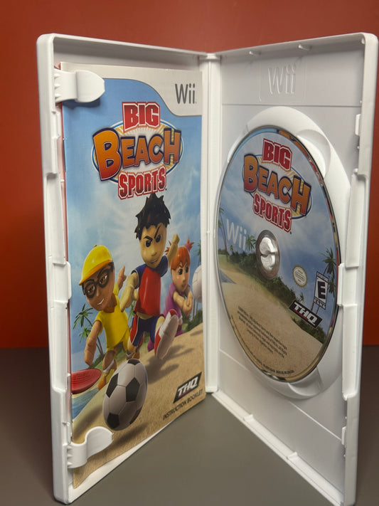Big Beach Sports