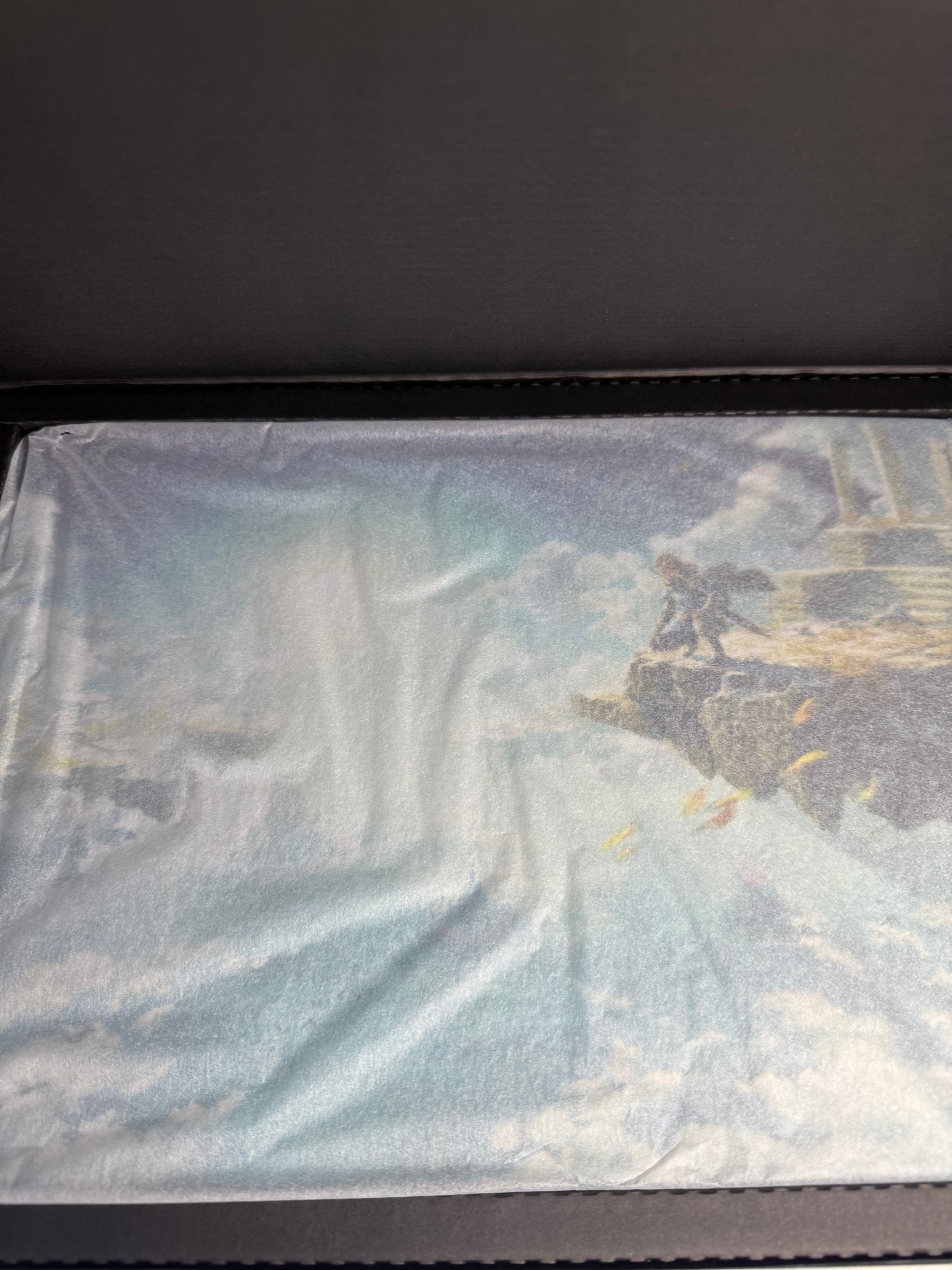 The Legend of Zelda: Tears of the Kingdom Collector's Edition