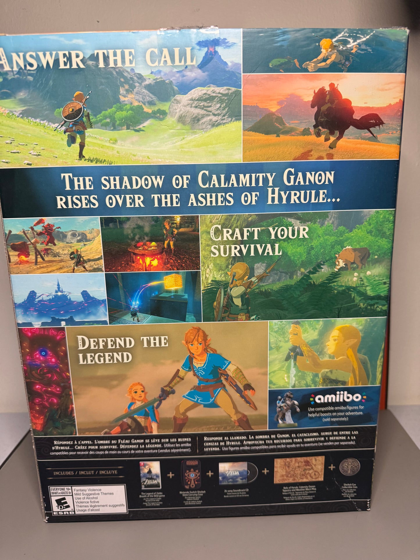 The Legend of Zelda: Breath of the Wild Special Edition