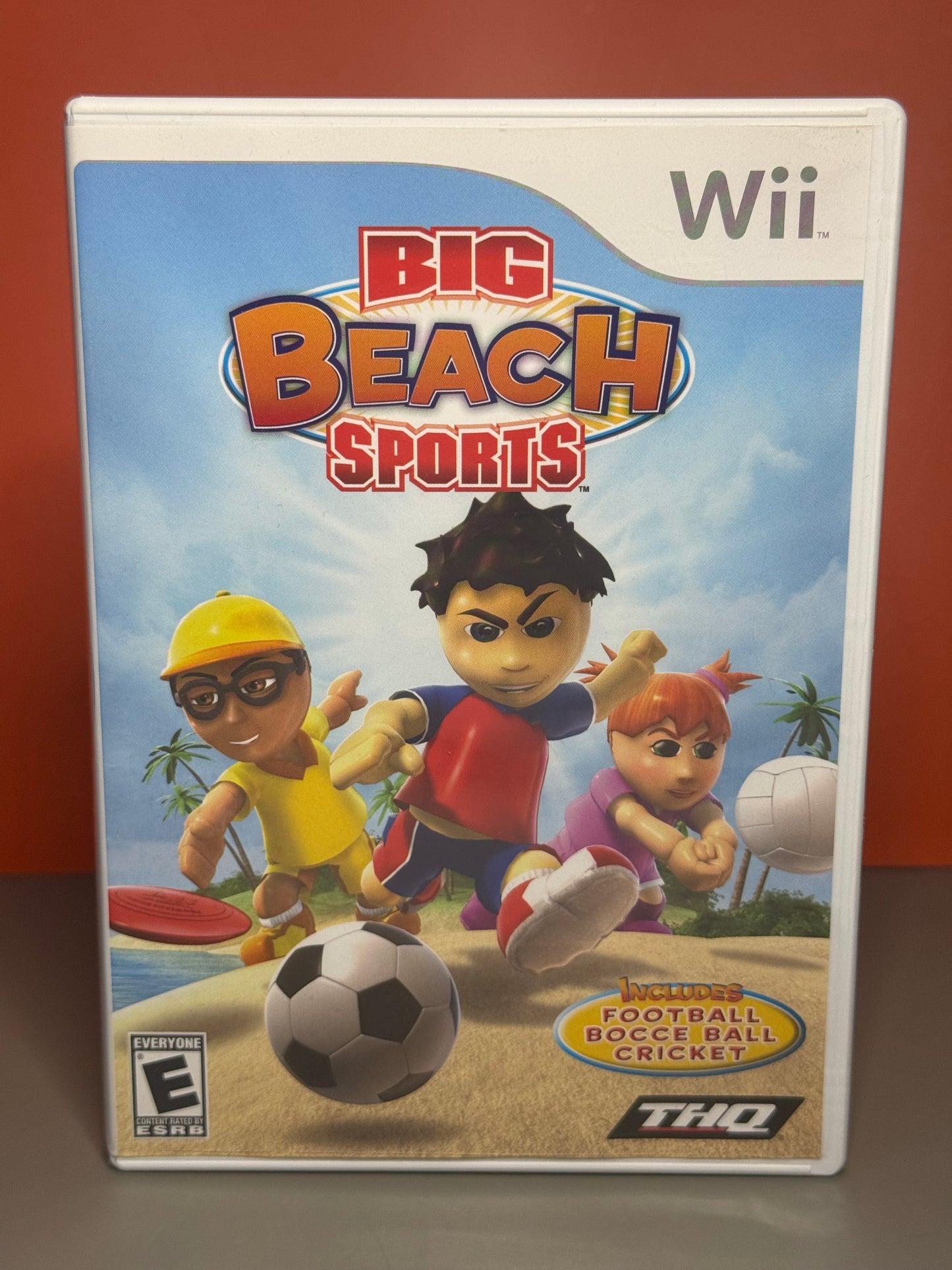 Big Beach Sports