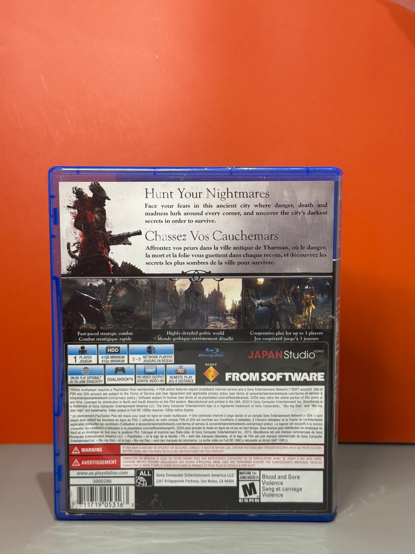 Bloodborne